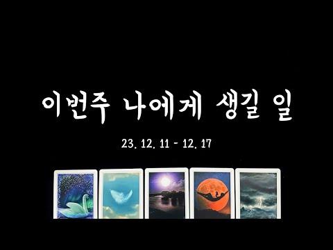 [타로] 이번주 나의 일과 사랑💕