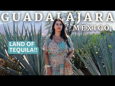 Unveiling the Cultural Delights of Guadalajara: A Tequila Tasting Adventure
