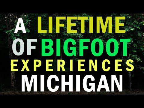 Unveiling the Mysteries of Bigfoot Encounters in Michigan