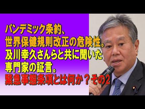 パンデミック条約と世界保健規則の改正に関する専門家の証言