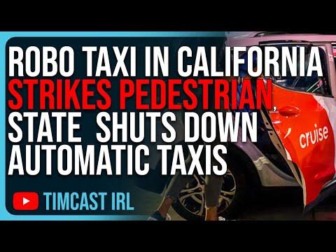 Robo Taxis and Robot Dogs: The Future of Autonomous Vehicles in California