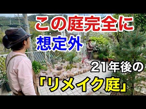 神戸の個人庭を探索する楽しい体験 - 糸嶺さんのお庭