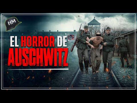 El Horror de Auschwitz: Testimonios de Sobrevivientes