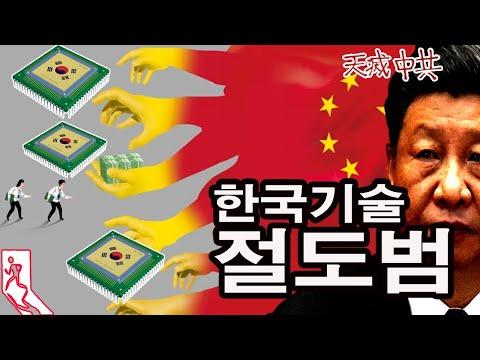 중국 기술 도적떼의 현실