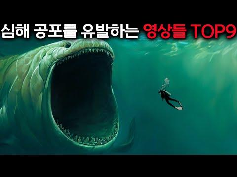 깊은 바다 속 이상한 생물들: 놀라운 이야기