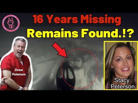 Illinois Authorities Search for Stacy Peterson's Remains: New Evidence Unveiled
