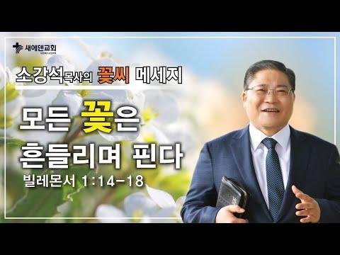 성장과 용서의 과정을 탐구하는 꽃씨 메세지