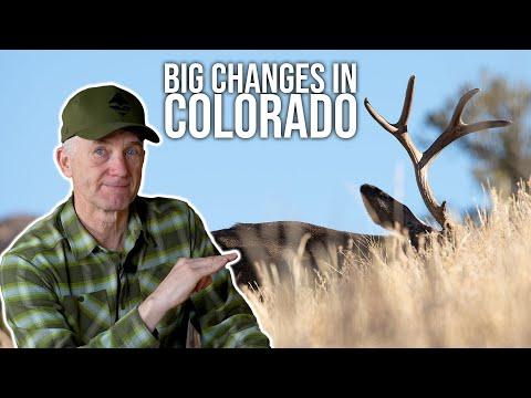Unveiling the Latest Colorado Hunting Application Strategy