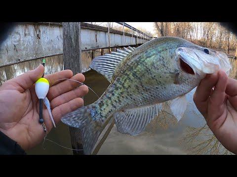 Crappie Fishing A Creek With A Jig 