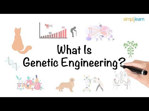 The Power of Genetic Engineering: Enhancing Life Through Science