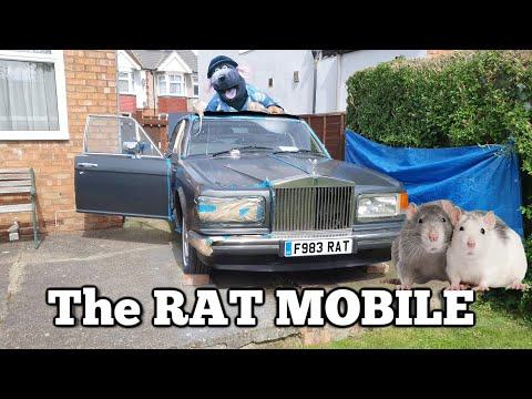 Revamping the Ratmobile: A DIY Car Refurbishment Journey