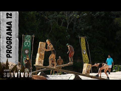 La Tribu Halcón en Survivor México 2024: Desafíos, Competencia y Convivencia