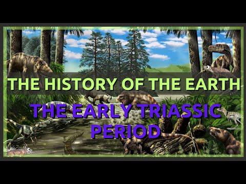 Survival and Dominance in the Early Triassic Era