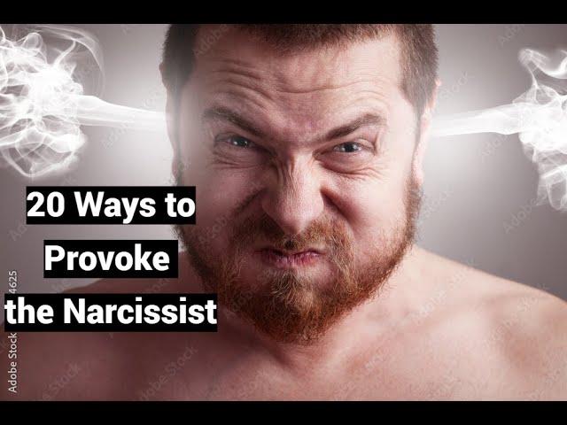 Understanding and Dealing with Narcissists: A Comprehensive Guide