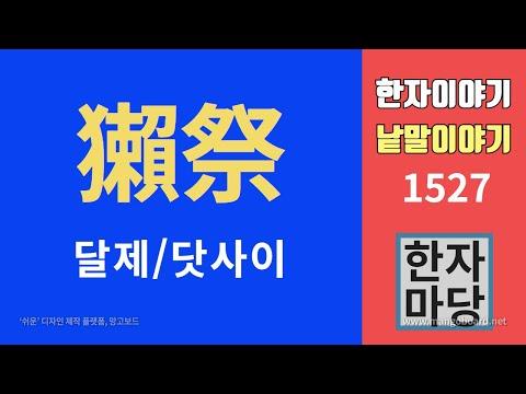 달제와 닷사이: 술과 수달의 이야기