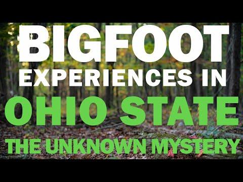 Unveiling Bigfoot Encounters: A Scientific Perspective on Mysterious Phenomenon