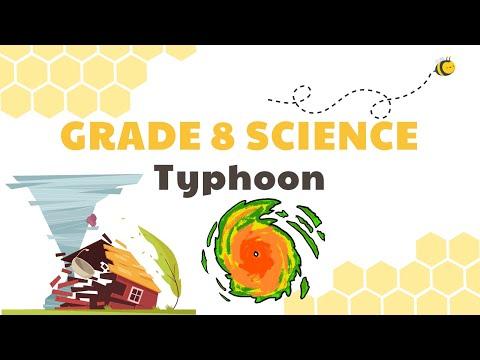 Understanding Typhoons, Hurricanes, and Cyclones: Key Points and FAQs