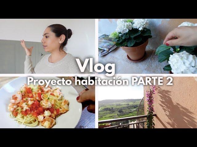 Renueva tu habitación con creatividad: Proyecto de pared, plantas y recetas deliciosas