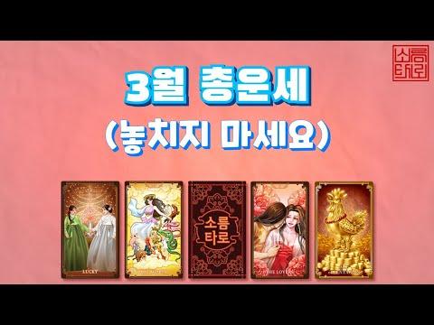 3월 총운세 - 운세 전망과 조언