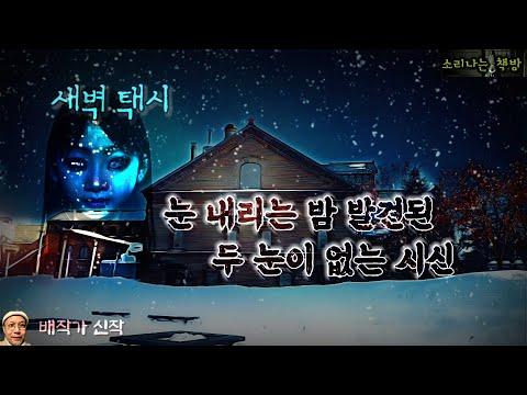 새벽 택시: 눈 내리는 밤에 발견된 두 눈이 없는 시신