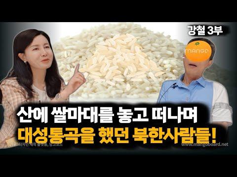 [강철 3부] 북한 이주자들의 이야기: 중국에서의 어려움과 한국으로의 연결