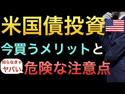 【必見】米国長期債の投資メリットとリスク解説