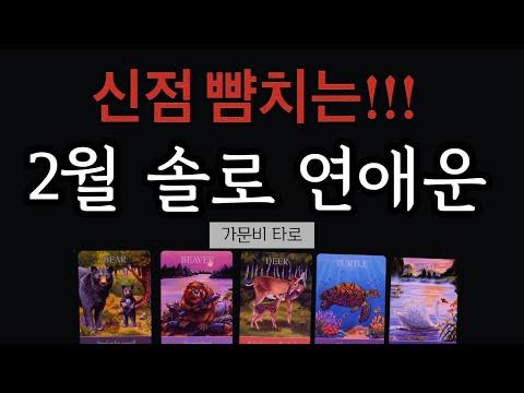 2월 솔로 연애운을 타로 카드로 확인하기