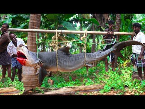 Discover the Amazing Fish Cutting Skills of Village Grandpa | Monster Tiger Shark Recipe
