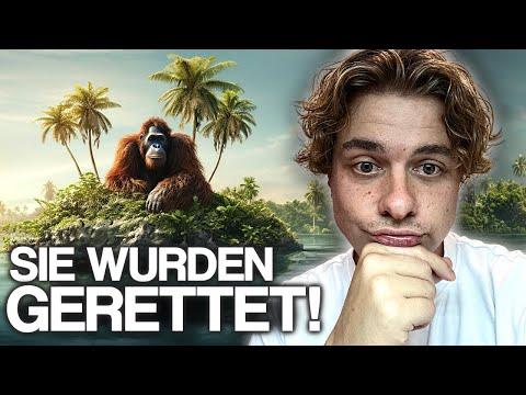 Entdecke das faszinierende Leben im Orang-Utan Reservat auf Borneo