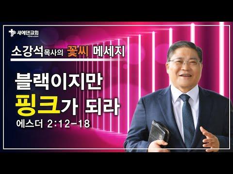 블랙 핑크: 블랙에서 핑크로 변하는 메시지