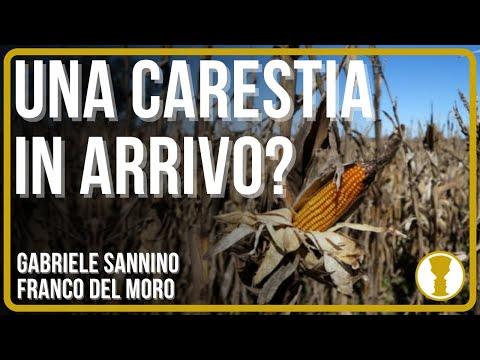 L'agricoltura e l'alimentazione: il futuro della nostra società