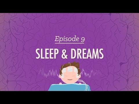 Unlocking the Mysteries of Sleep and Dreams: A Comprehensive Guide