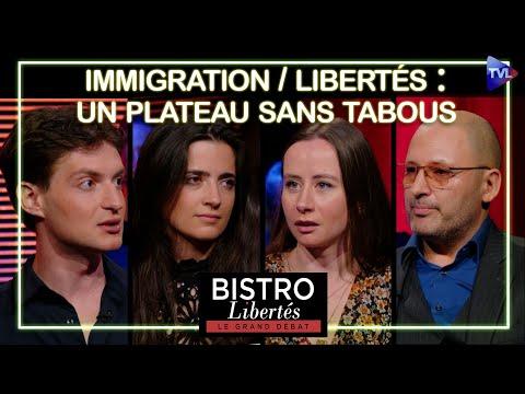 Décryptage de l'Immigration et des Libertés en France