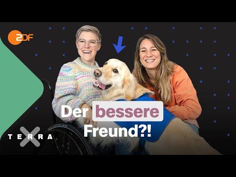 Die Bedeutung der Hundeliebe: Warum Hunde unsere treuen Begleiter sind