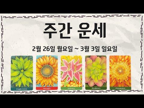 주간운세: 2월 마지막 주