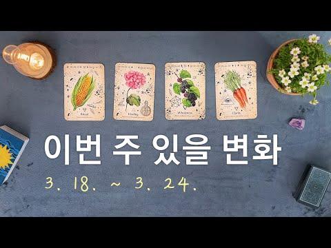 [타로/주간운세] 3월 셋째 주 종합운(3. 18. ~ 3. 24.)