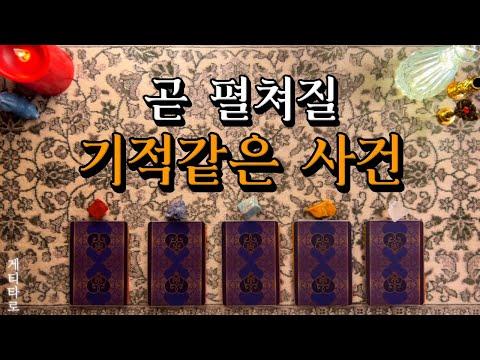 [타로] 미래를 예측하는 타로 카드의 흥미진진한 이야기