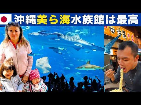 沖縄旅行ガイド：美ら海水族館、国際通り、沖縄そば、ブルーシールアイス