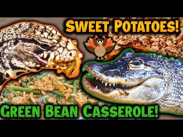 Reptile-Safe Thanksgiving Feast: A Unique Culinary Experience for Your Pets