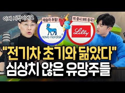 비만약 주식 시장의 동향 및 전망