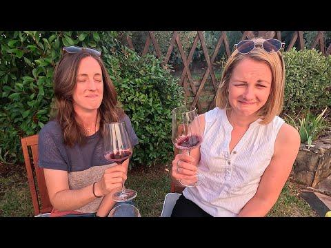 Homemade Wine and Beer Review: A YouTuber's Tasting Experience