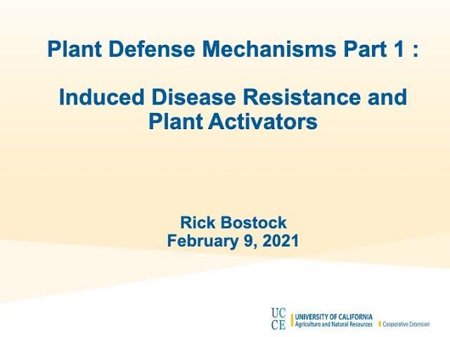 Unlocking the Power of Plant Immunity: Insights from Distinguished Professor Rick Bostock