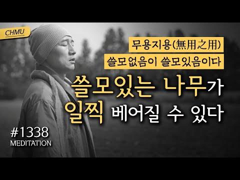 1338일 수행 | 쓸모있는 나무가 일찍 베어질 수 있다