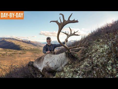 Ultimate Hunting Adventure: Tracking Caribou and Elk in the Mountains