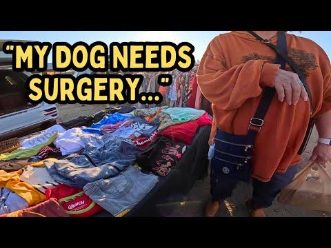 Unboxing and Reselling: A YouTuber's Thrift Haul Adventure