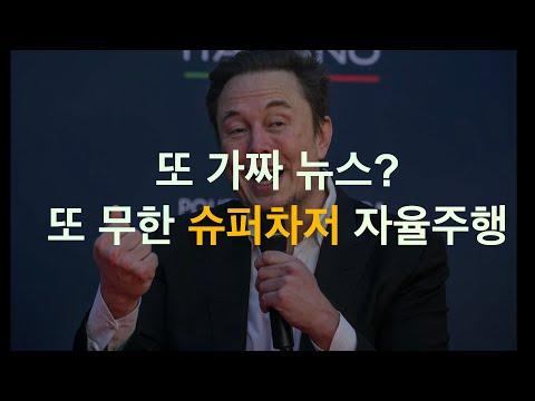 테슬라의 최신 뉴스 및 논란: 자율주행은 비에도 잘 되고, 뇌에 칩 심는 논란