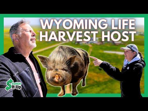 Exploring a Ranch in Wyoming: A Unique Farm Experience