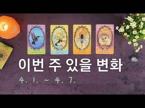 [타로/주간운세] 4월 첫째 주 종합운(4. 1. ~ 4. 7.) - 신나는 주간운세!