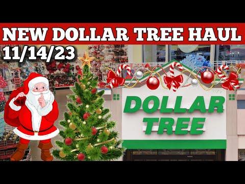 Dollar Tree Haul: Christmas Decorations and Pet Squirrel Fun!