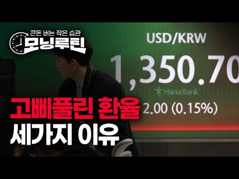 환율 안정과 경제 동향에 대한 통찰 | 20240329